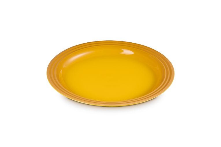 Stoneware Dinner Plate